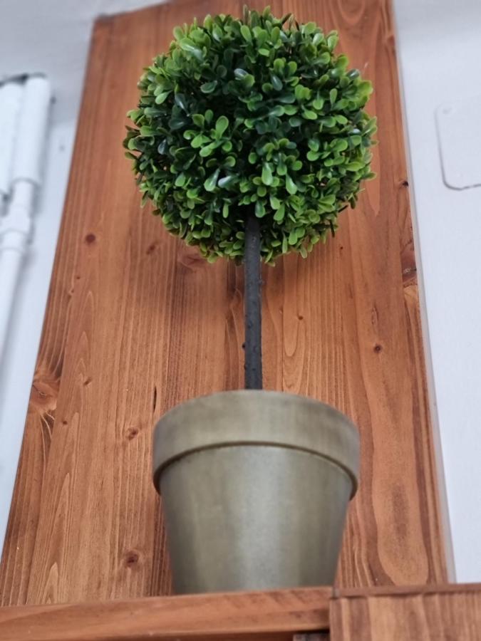 Aparthotel Pelini középső Szentendre Esterno foto