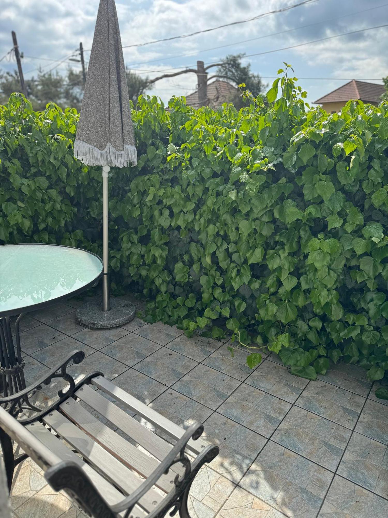 Aparthotel Pelini középső Szentendre Esterno foto