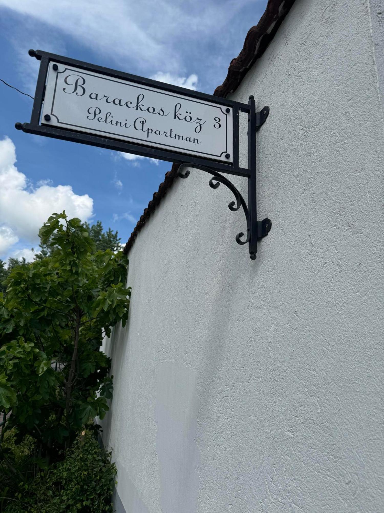 Aparthotel Pelini középső Szentendre Esterno foto